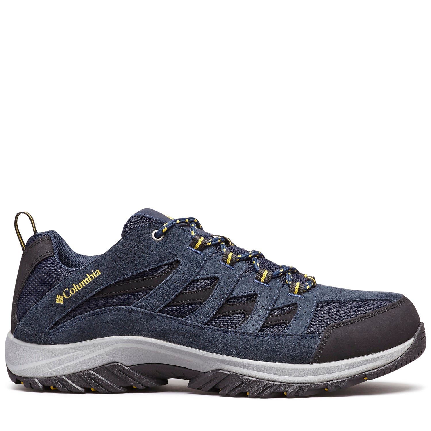 (464)COLLEGIATE NAVY