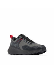 Gris