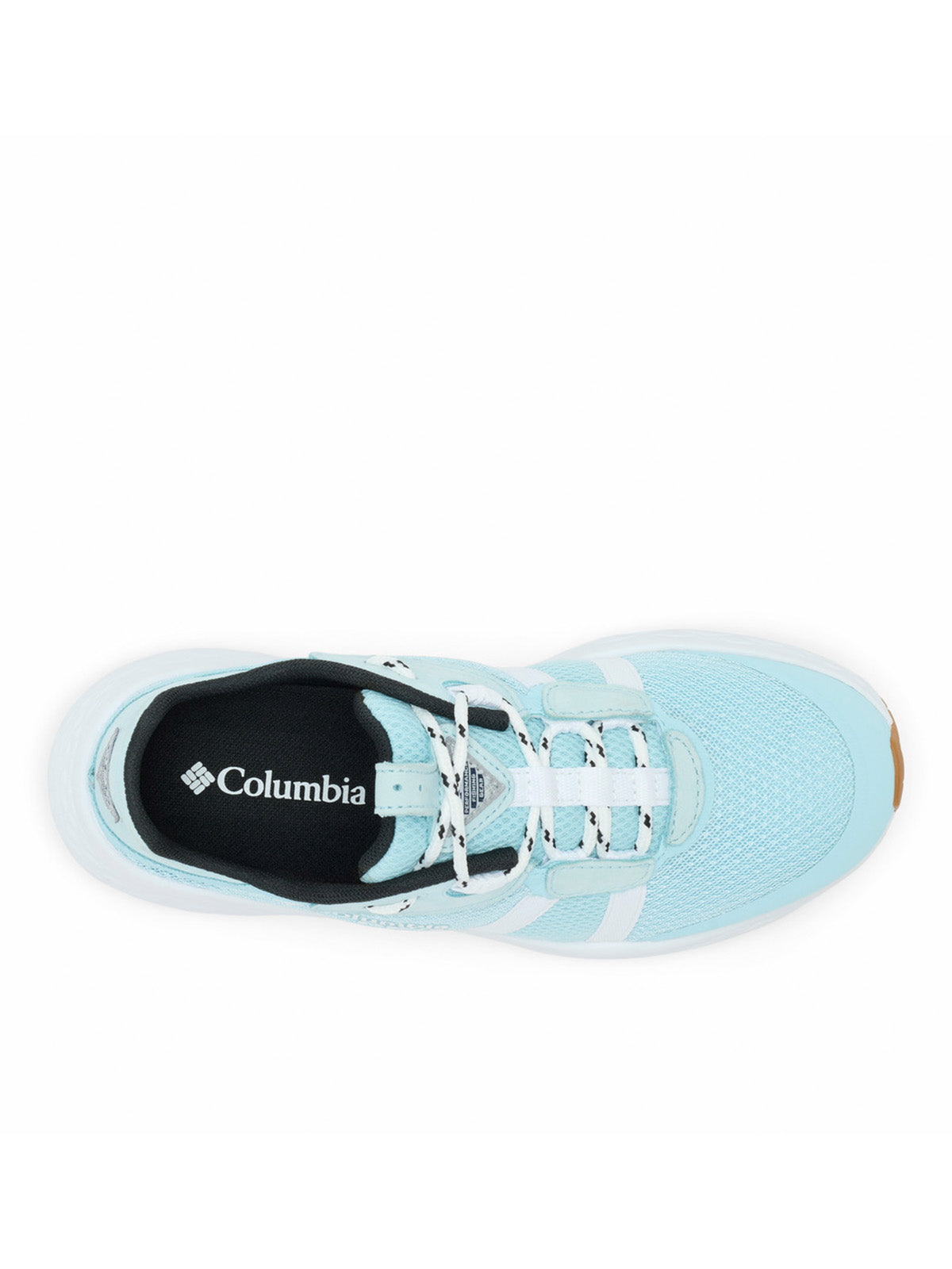Zapatilla Mujer Castback Tc PFG Celeste Columbia