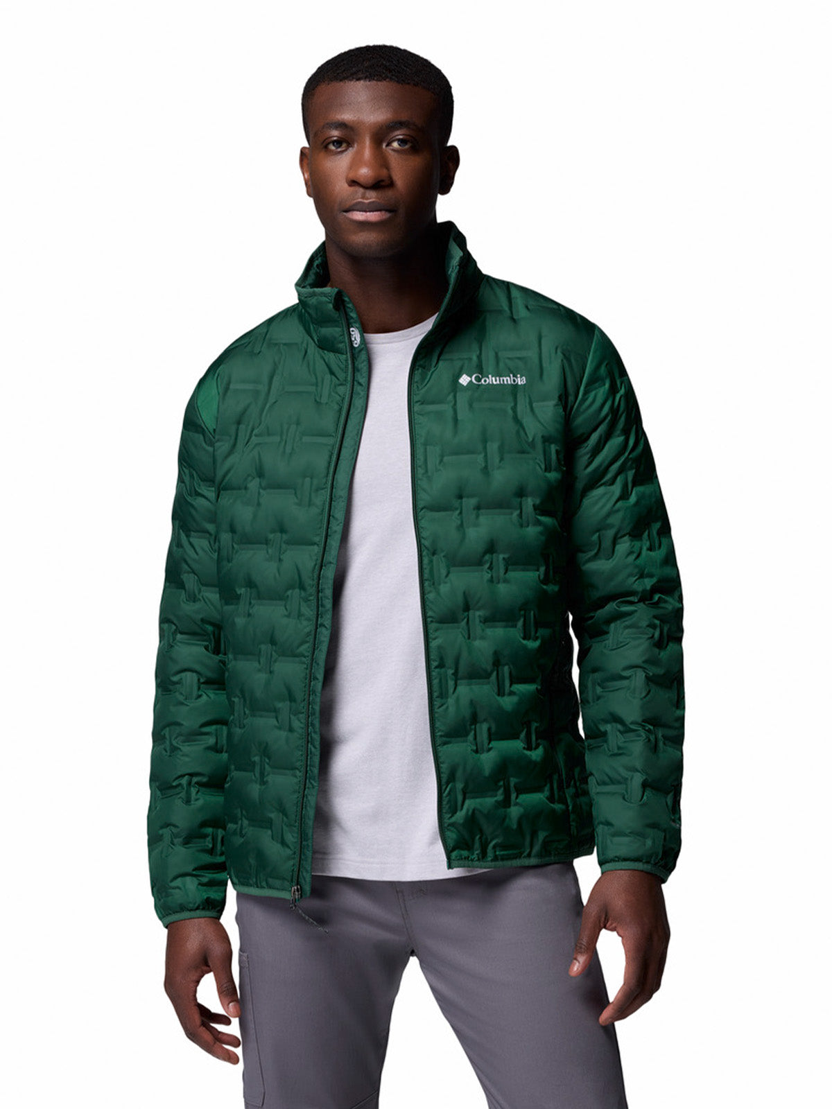 Parka Hombre Delta Ridge II Down Verde Rain Forest Columbia