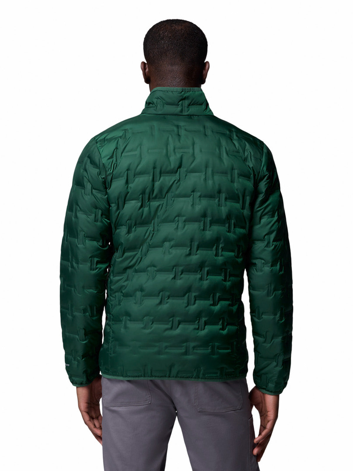 Parka Hombre Delta Ridge II Down Verde Rain Forest Columbia