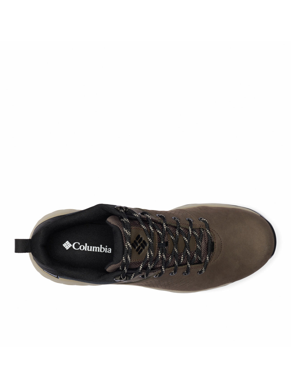 Zapatilla Hombre Newton Nimble LTR Café Columbia